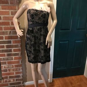 NWOT Modcloth | Mystic | Crochet Overlay Black Dress | Pink Ruffle Above Bodice